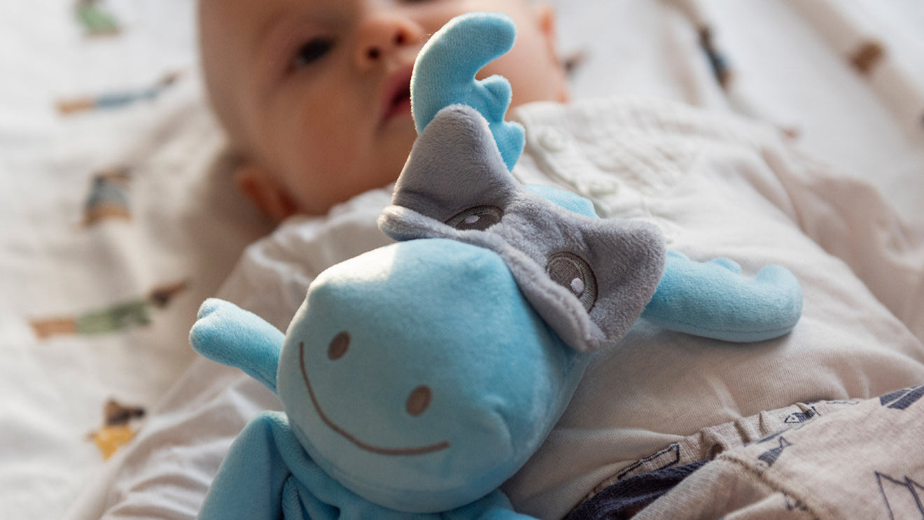 custom-slideshow-image-desktop-block_grHzpq