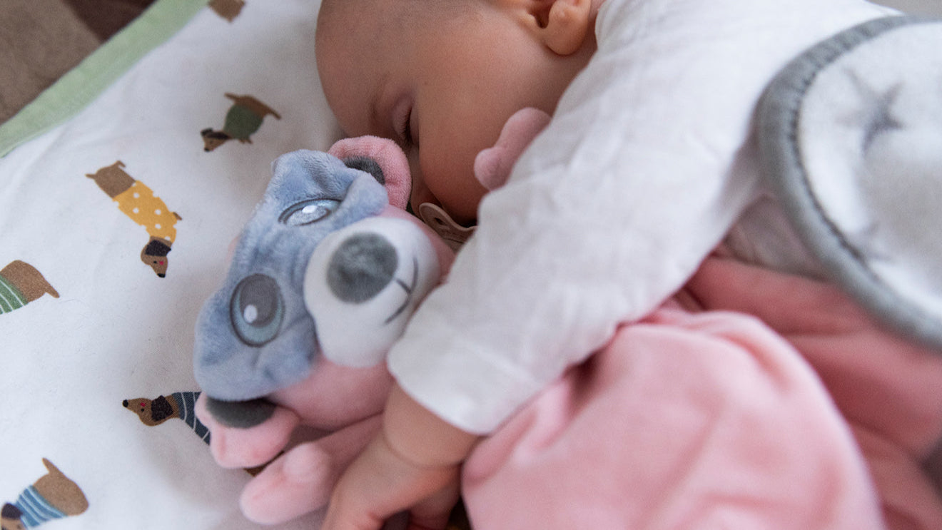 custom-slideshow-image-desktop-block_wUdryJ