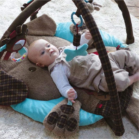 Little Bird Told Me – Percy Pup Multi-aktivitetsmatta – Babygym